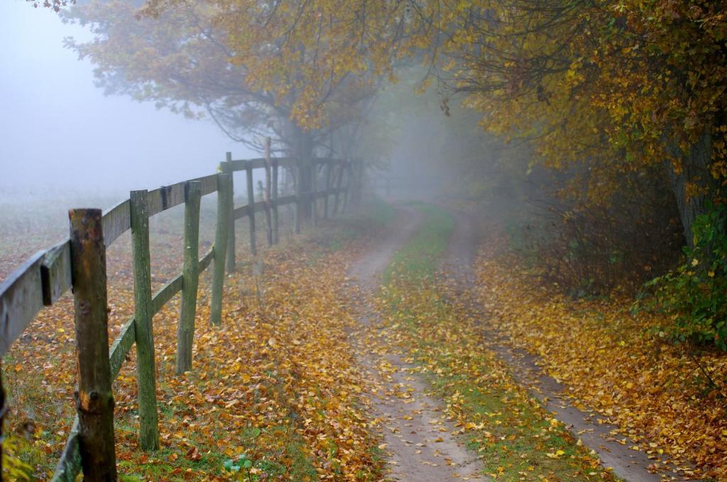 Gosciniec Figlowka Villa Laskowice  Bagian luar foto